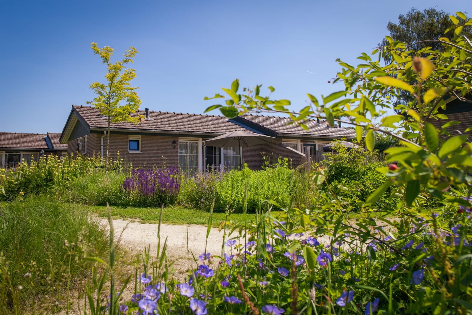 Fraaie 10-persoons accommodatie op park in Voorthuizen Veluwe-Een-vakantiehuisje