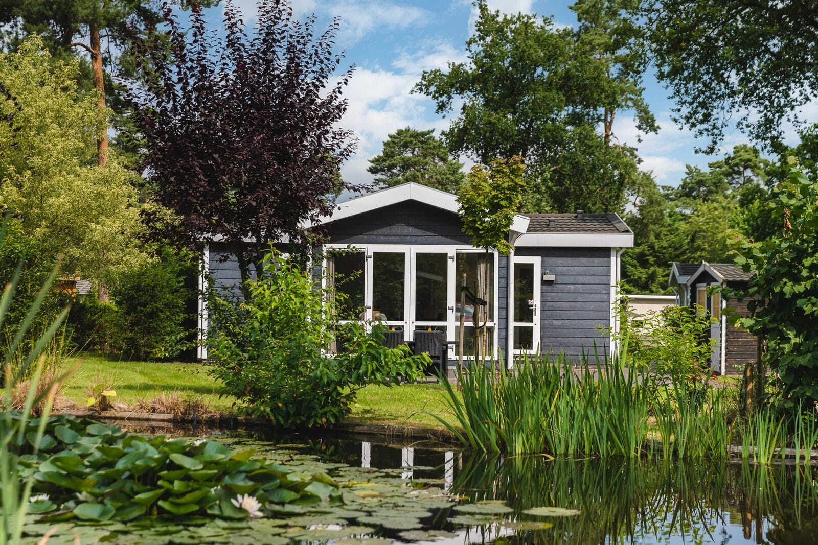 Bos Lodge Wellness - 2 personen-Boek-uw-buitenhuis