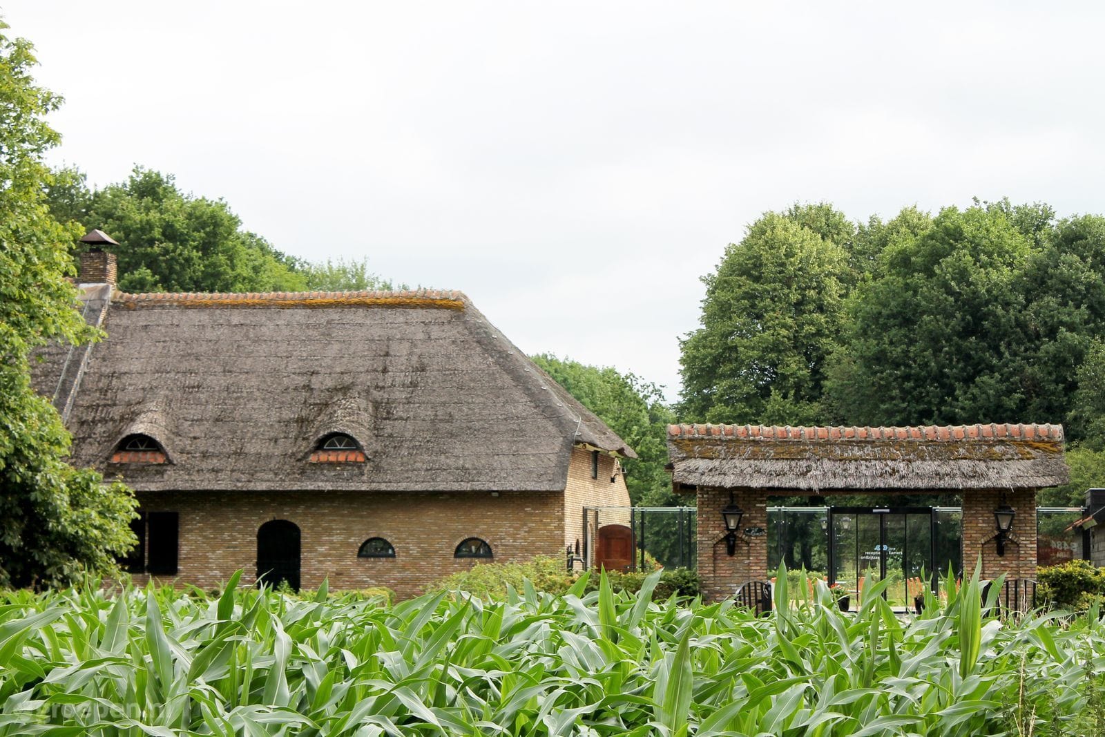 Groepsaccommodatie Baarle-Nassau-Groepen