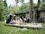 Ruime 20 persoons bungalow met een zeer royale tuin. – Heerlijke huisjes